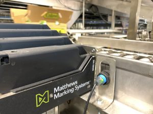VIAjet L-Series Thermal Inkjet Printer on Calavo Growers Production Line