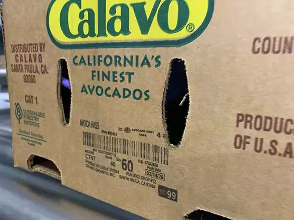 Calavo Growers carton on conveyor showing printed marks.